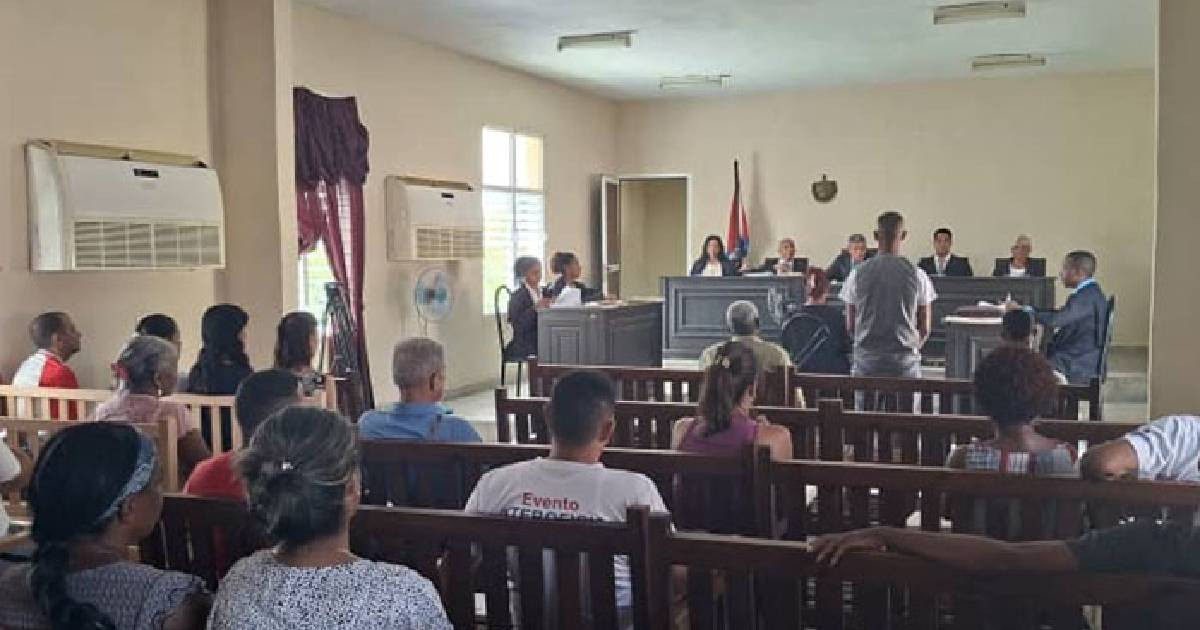 La afectación total estimada fue de 24 MW/ha y el perjuicio económico valorado en casi 4,500 pesos cubanos © periódico Victoria/Ana Esther Zulueta