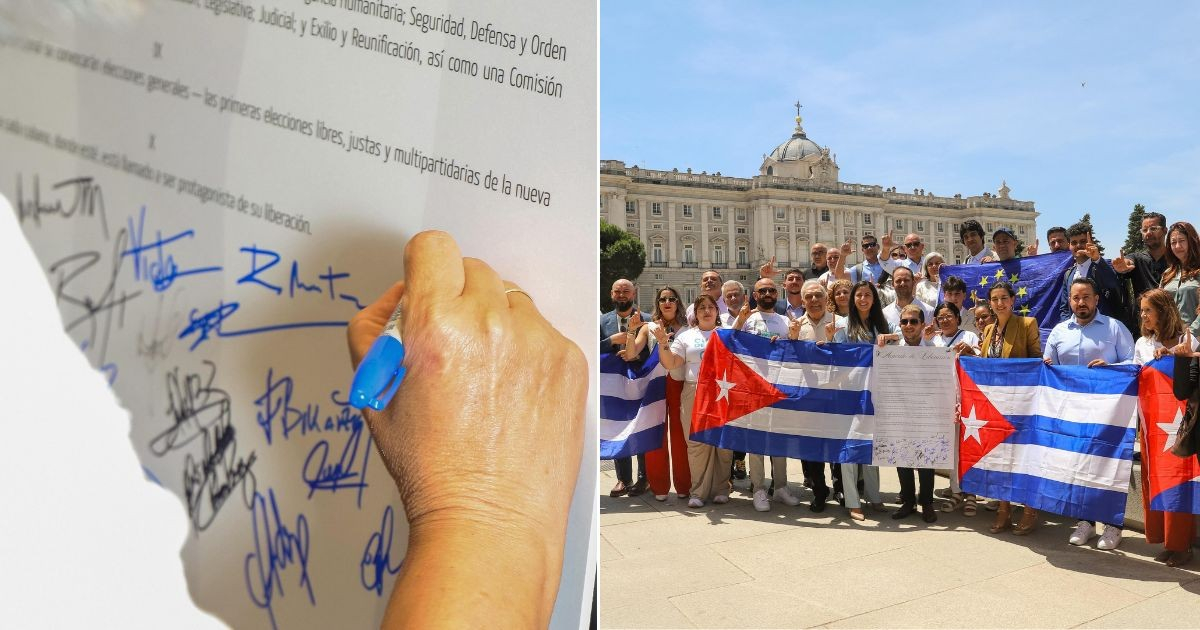 Oposición cubana acuerda en Madrid las bases para un gobierno provisional y elecciones libres © Collage Facebook/Rosa María Payá Acevedo