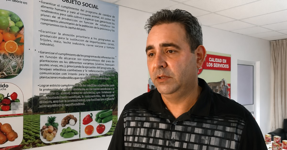 Cuban regime attempts to clean up GAESA's image: promises more availability in CUP thanks to sales in dollars