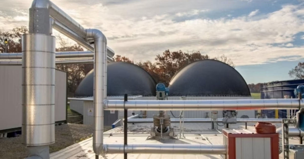 Vanguard Energy Halts Fuel Shipment to Cuba Due to "Operational Constraints"