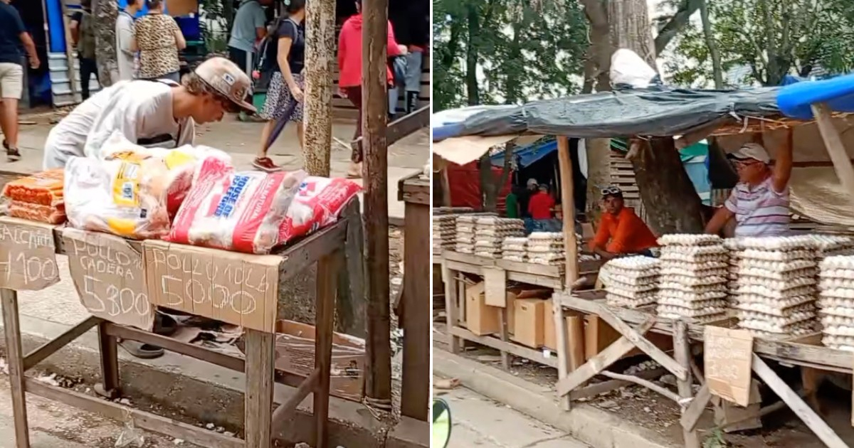 Food Prices in Cuba Reach Unbearable Levels