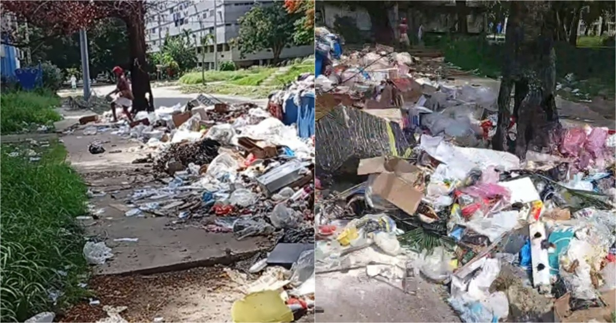 Overflowing Trash Crisis in Nuevo Vedado: Residents at Their Breaking Point