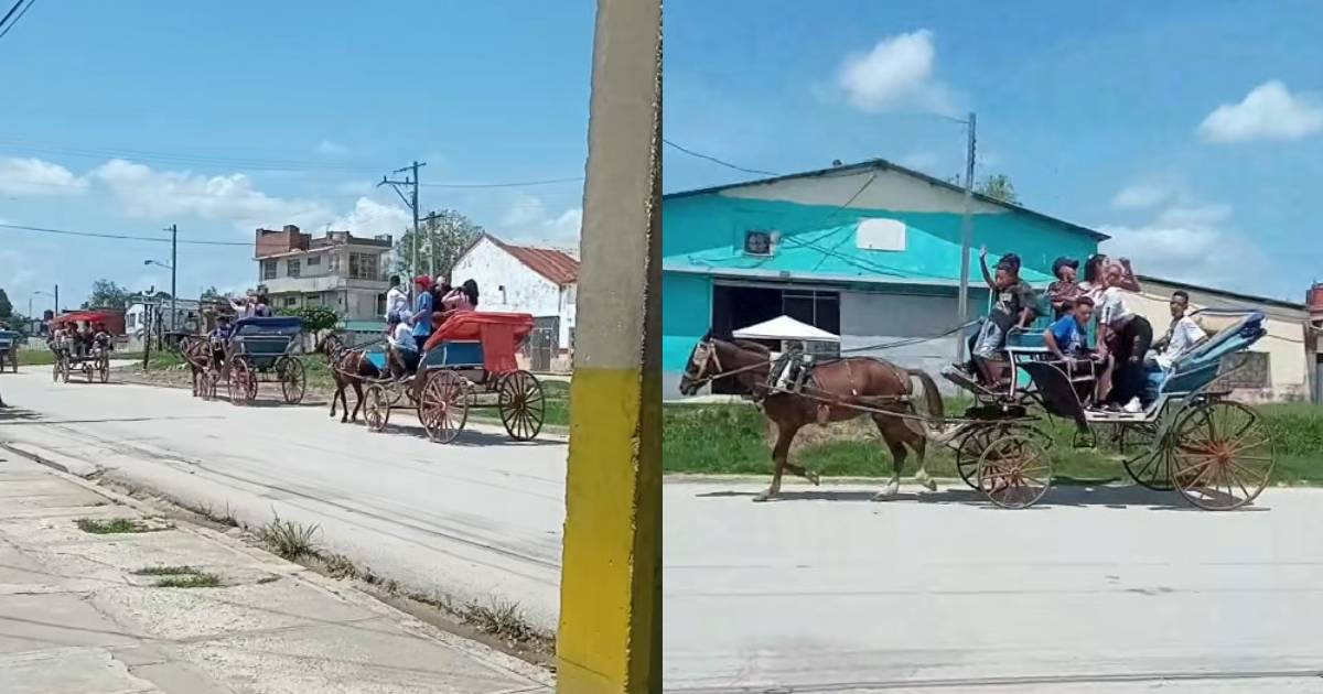 Horse-Drawn Carriage Parade in Bayamo Highlights Power Outage Frustrations