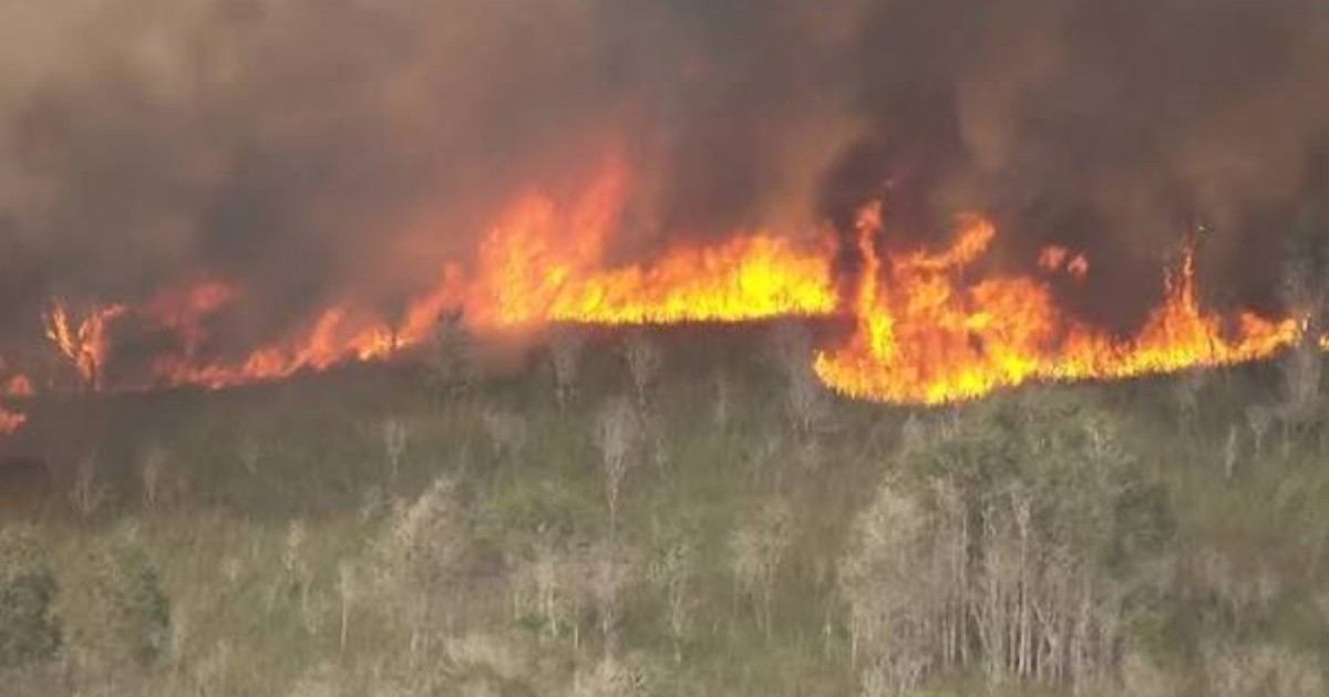 Wildfire Sweeps Through Miami-Dade County Threatening Power Lines