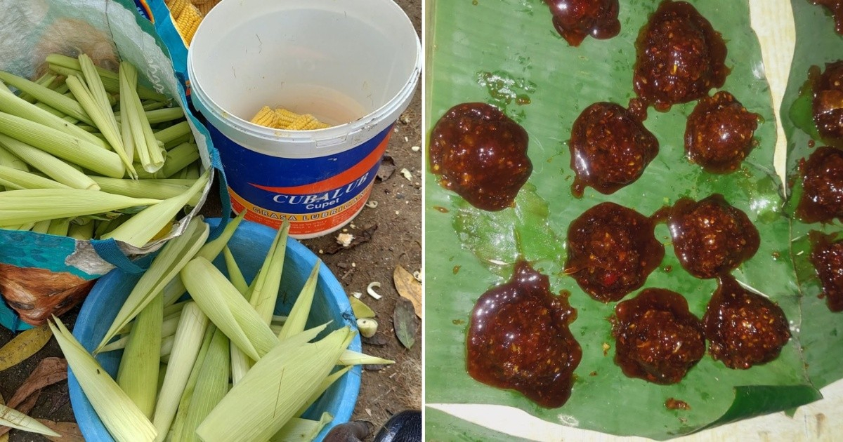 From Sweets to Tamales: Cuban Mother's Struggle to Feed Her Child