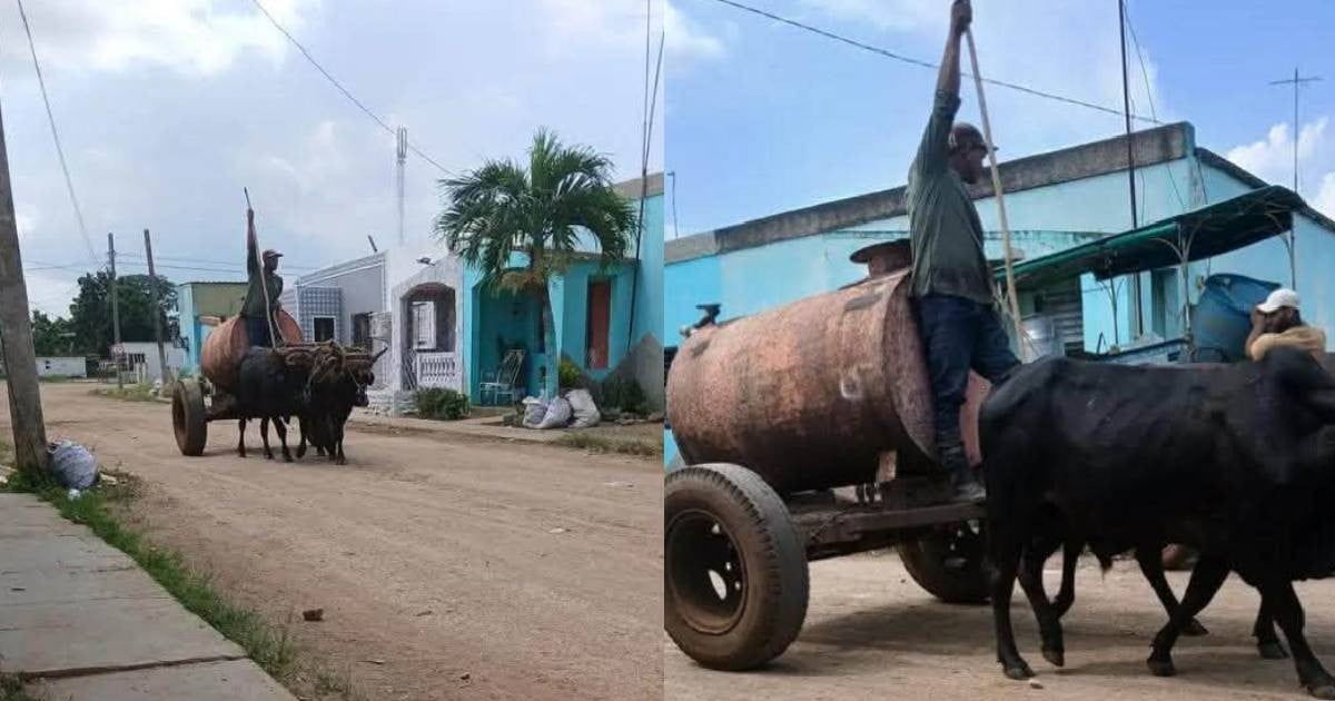 Residents of Real Campiña Endure 27 Days Without Water and Frequent Power Outages