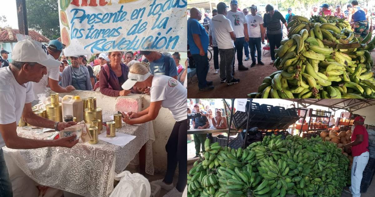 Father's Day Fair Sparks Outrage in Las Tunas Over Sky-High Prices