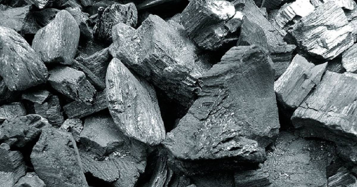 Camagüey Government Tackles Charcoal Crisis with Regulated Prices and Limited Distribution