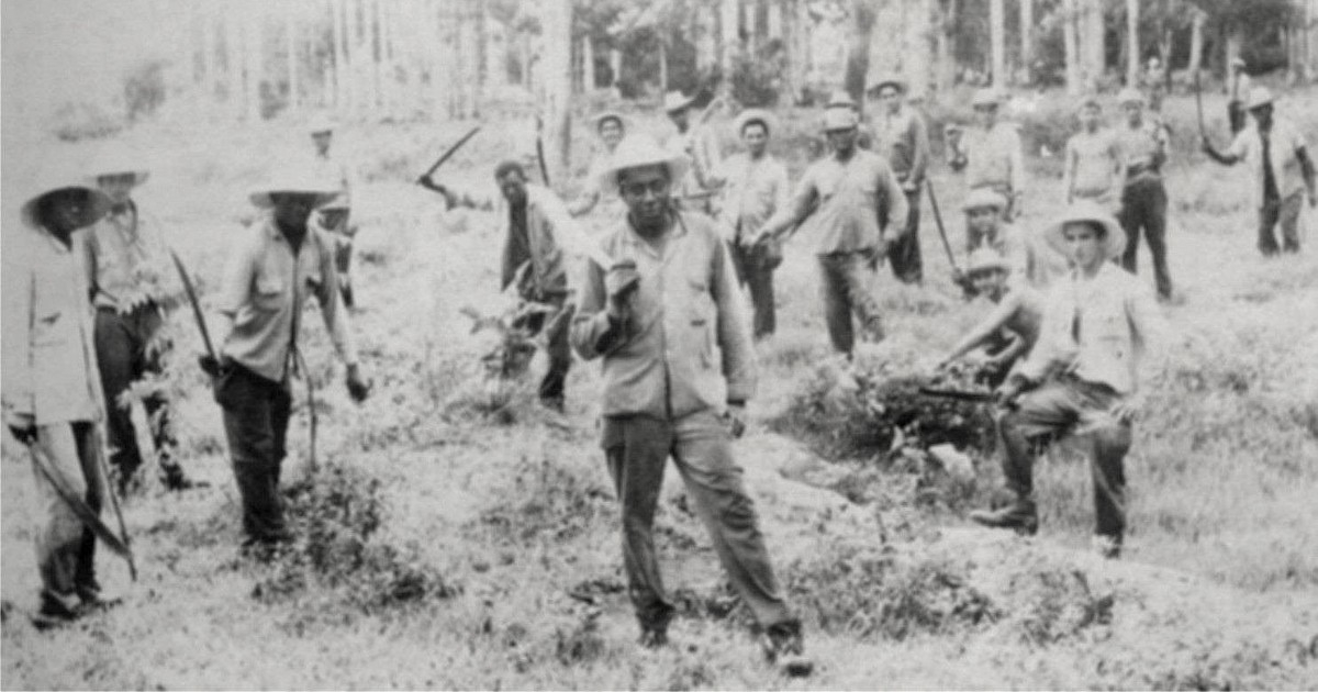 UMAP Camps: Forced Labor from Dawn till Collapse