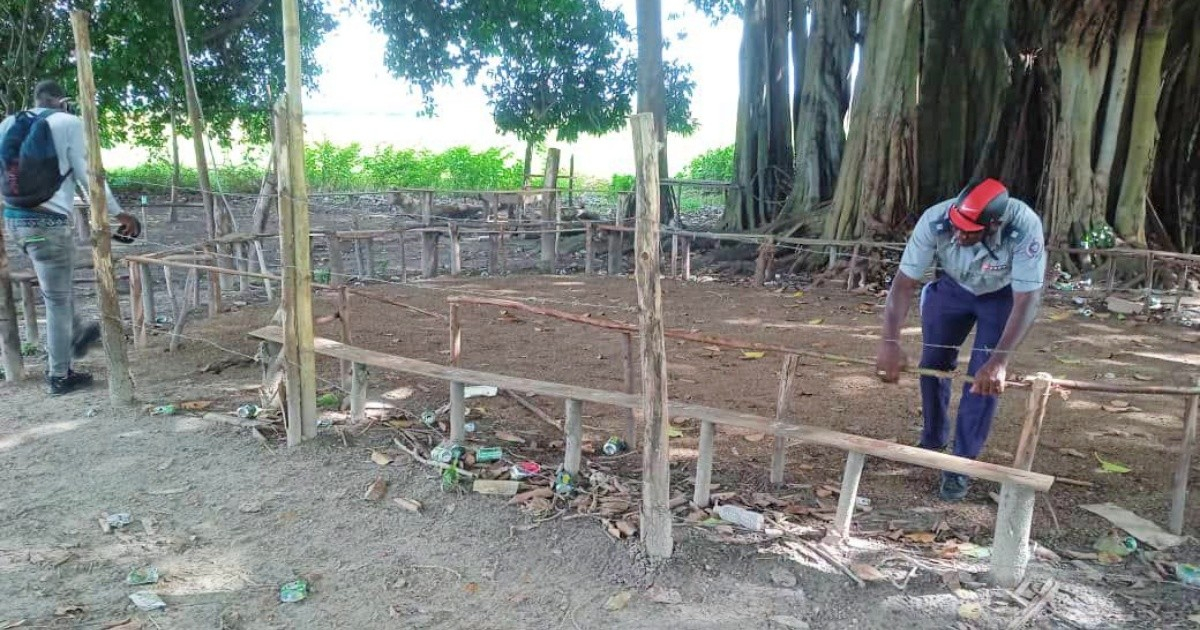 Police Crack Down on Illegal Cockfighting Ring in Pinar del Río, Sparking Criticism of State's "Double Standards"