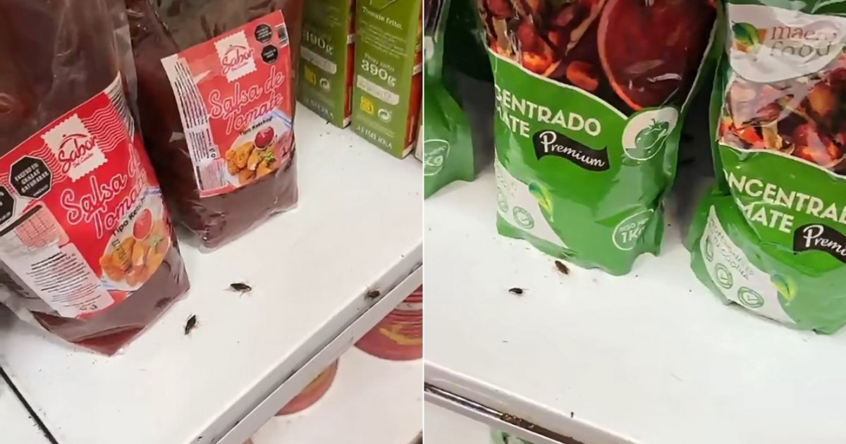 Cockroach Infestation Reported at Harris Brothers Store in Havana