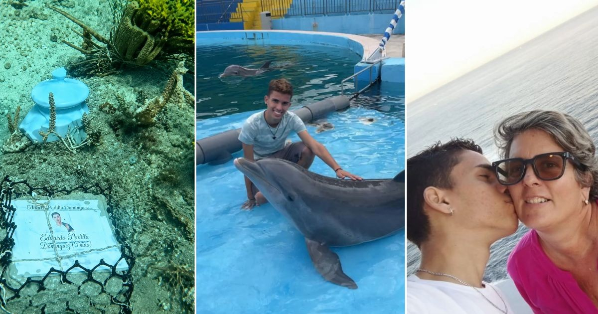 Dado's Final Dive: A Cuban Mother's Heartfelt Tribute to Her Lost Son