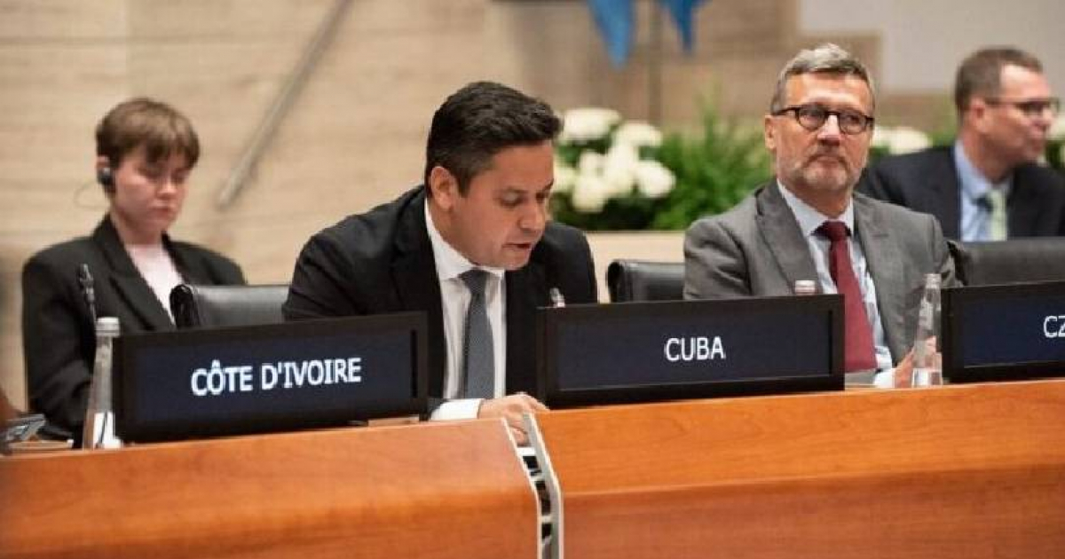 Cuban Diplomat Hails UN Aid as Proof "Cuba Is Not Alone"