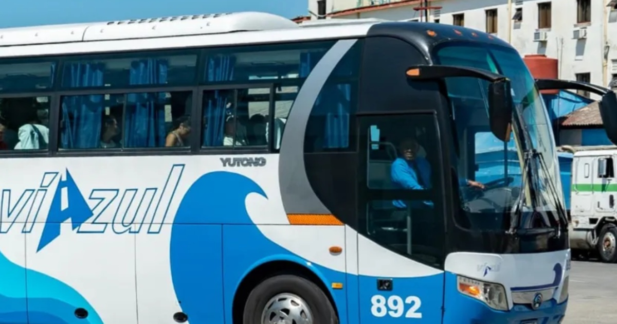 Allegations of Corruption Surface in Cienfuegos Viazul: “My Mother Was Stranded as Others Paid for Priority Boarding”