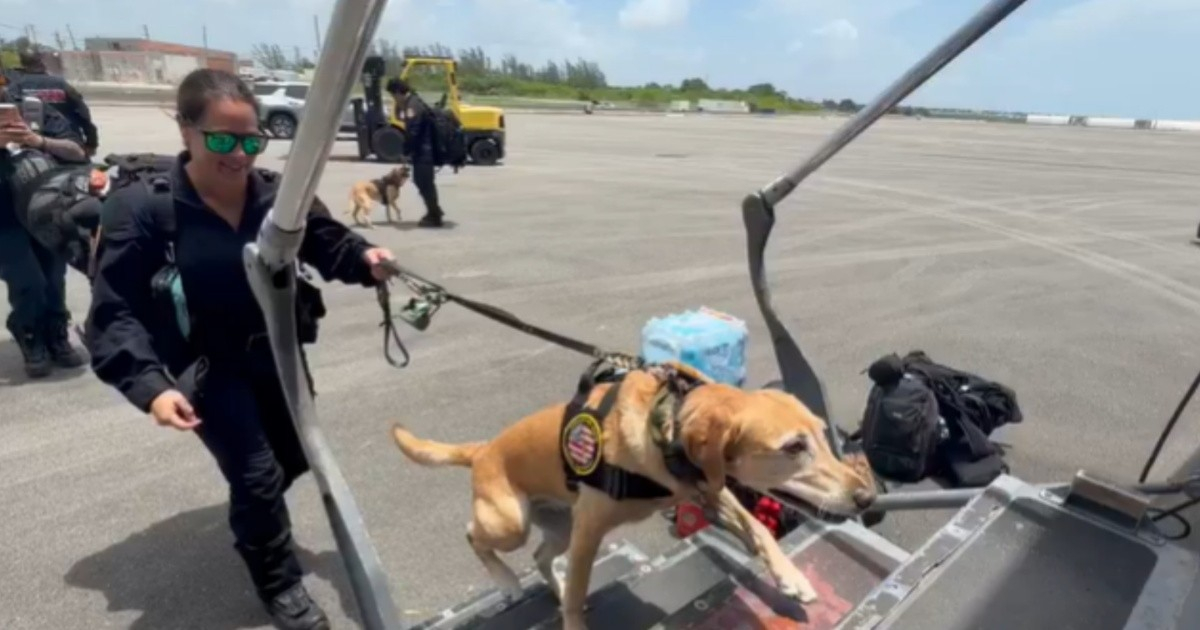 Miami Fire Department's Search and Rescue Dogs Deployed to Venezuela by U.S. Forces