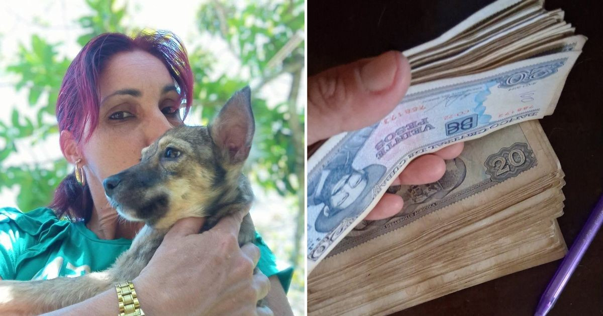 Cuban Activist Faces Economic Trap as 20-Peso Bills Are Rejected in Mayabeque