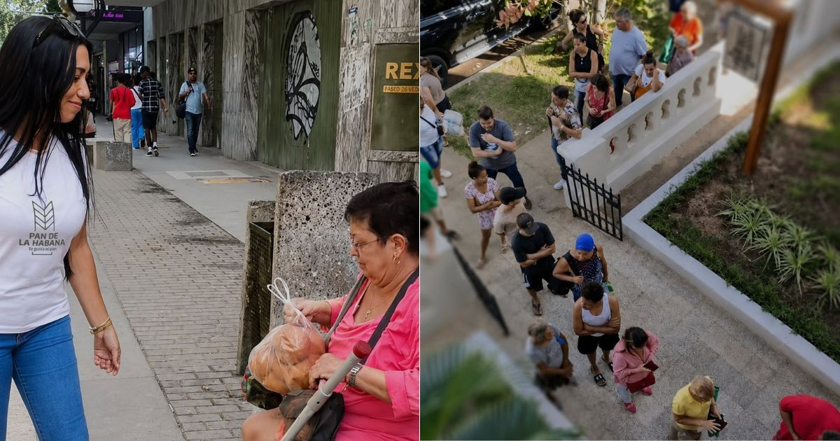 Private Bakery in Havana Halts Operations Amid National Challenges