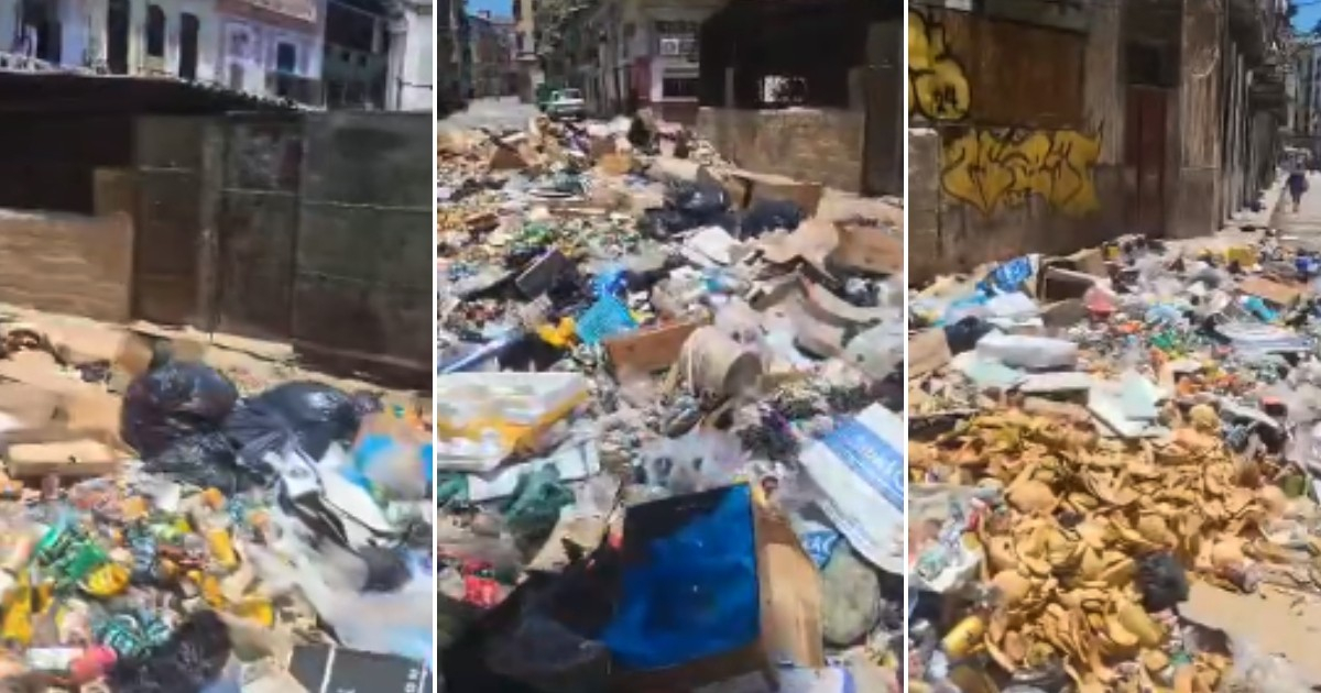 Cuban Citizen Confronts Garbage-Laden Street: "This Is the So-Called Creative Resistance"