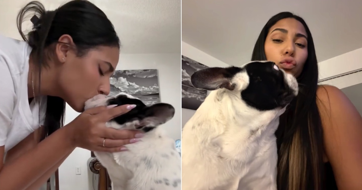 Hallel Genesis Bids Tearful Farewell to Beloved Pet Oreo: "The Most Beautiful and Genuine Love"