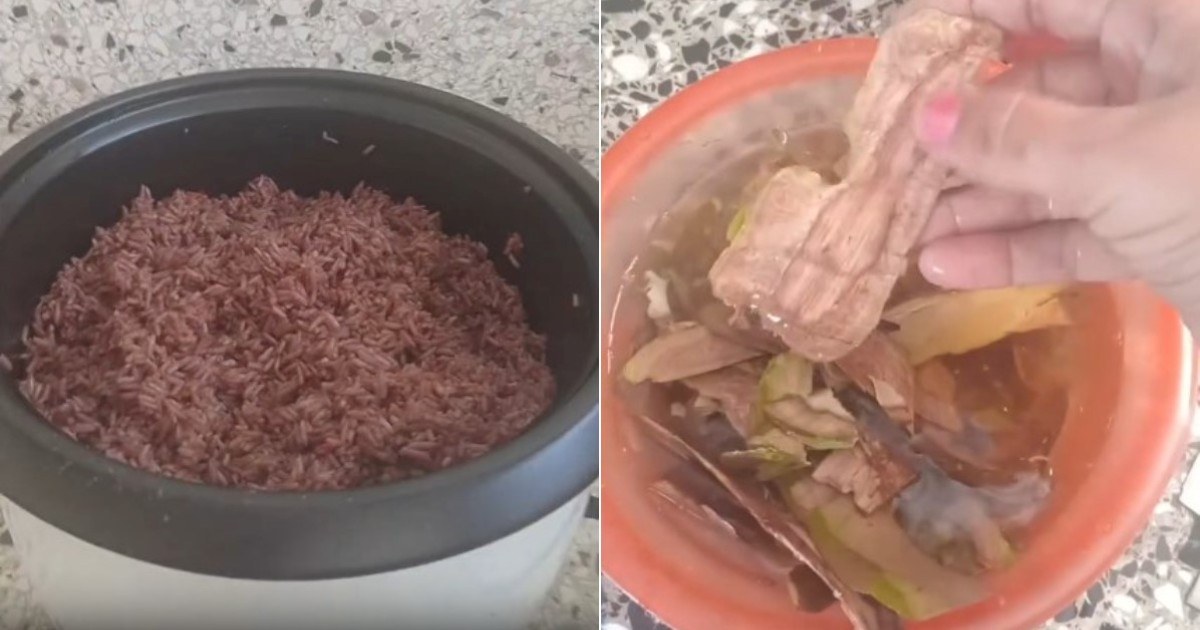 Innovative Cuban Recipe Highlights Severe Food Crisis: Congrí Without Beans