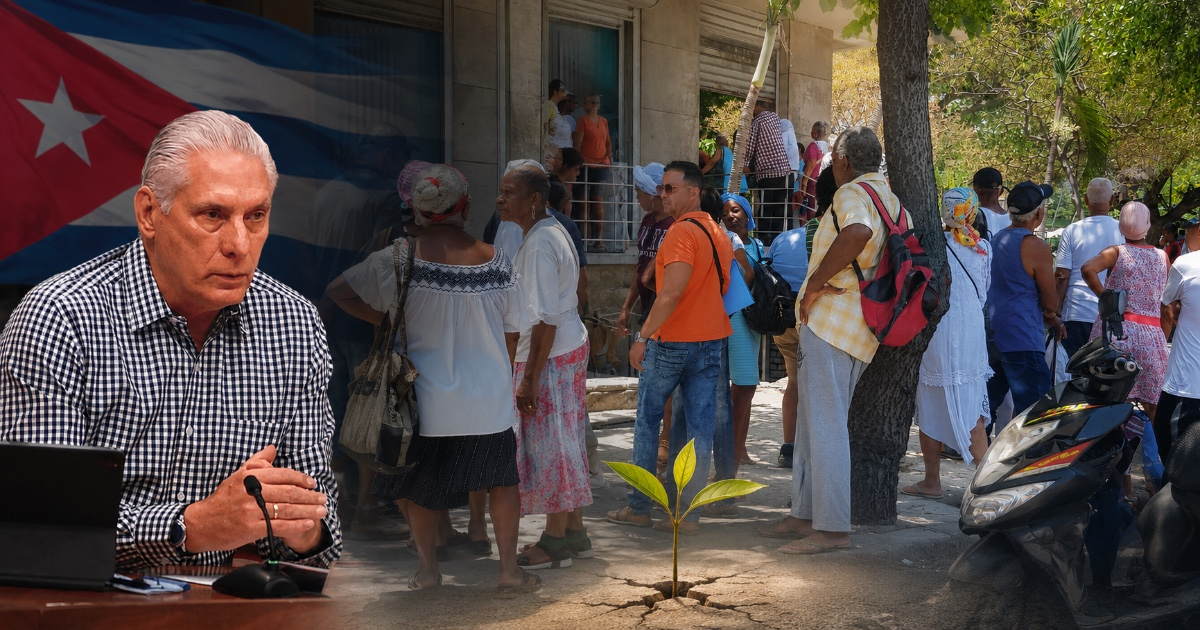 Is Cuba Undergoing a Transition? Legal Experts Warn of Regime's Potential Immunity