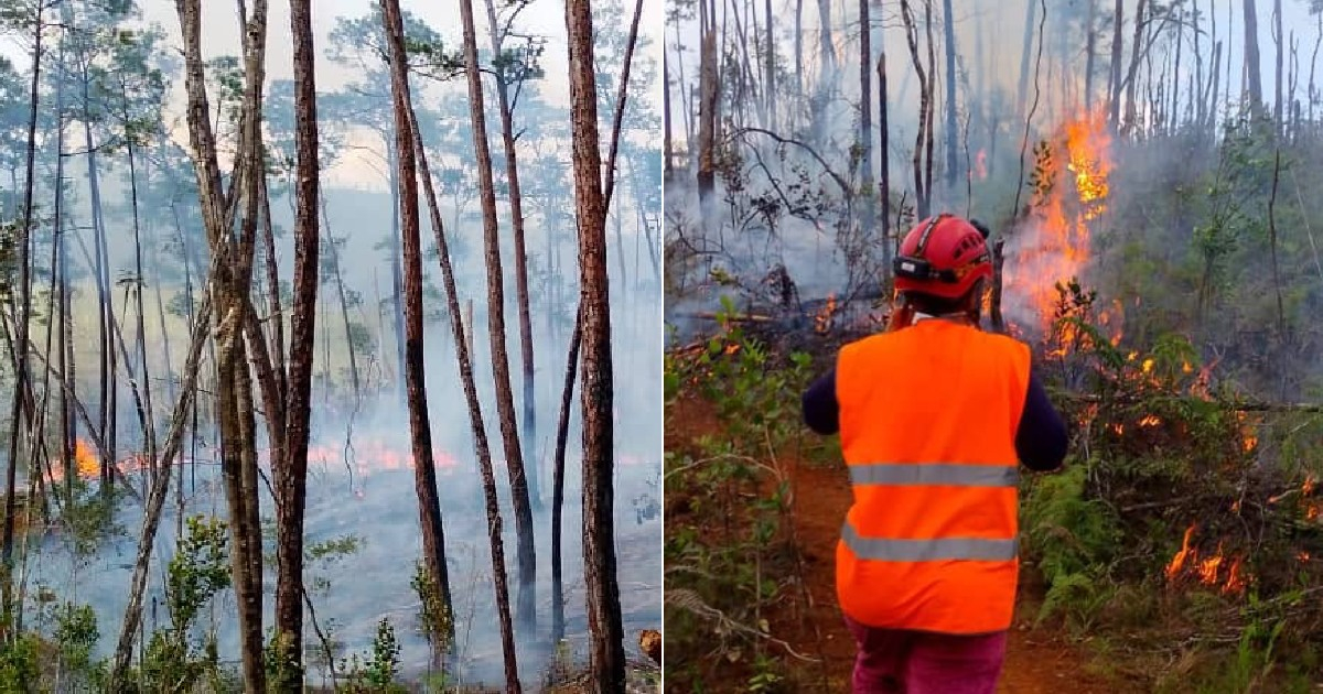 Wildfire Devours 200 Hectares in Alejandro de Humboldt National Park, Guantánamo