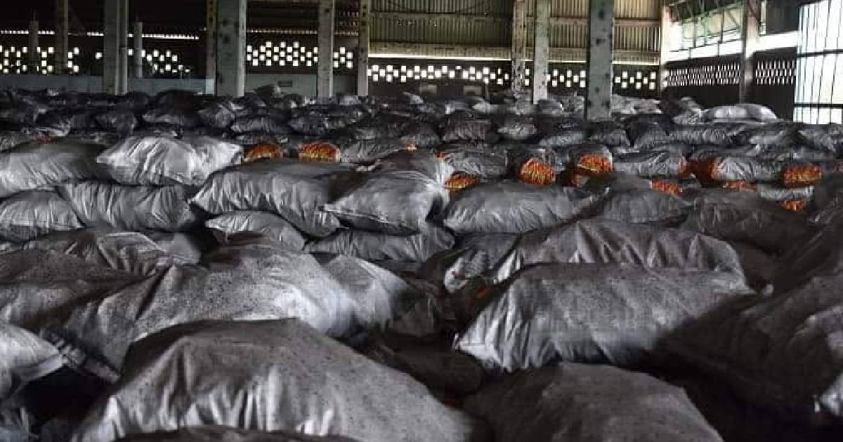 Abundant Marabú, Scarce Charcoal: Las Tunas Fails to Capitalize on Its Rich Resource