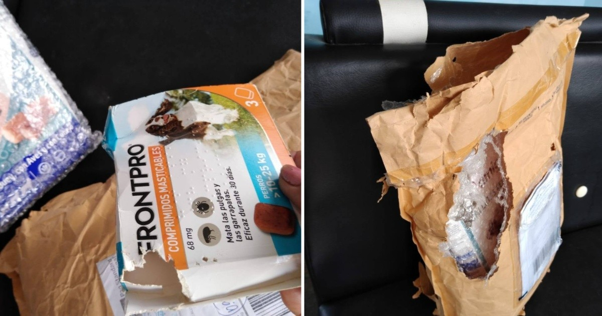 Shipment of Medications Ravaged by Rodents After Months in Cuban Postal Storage