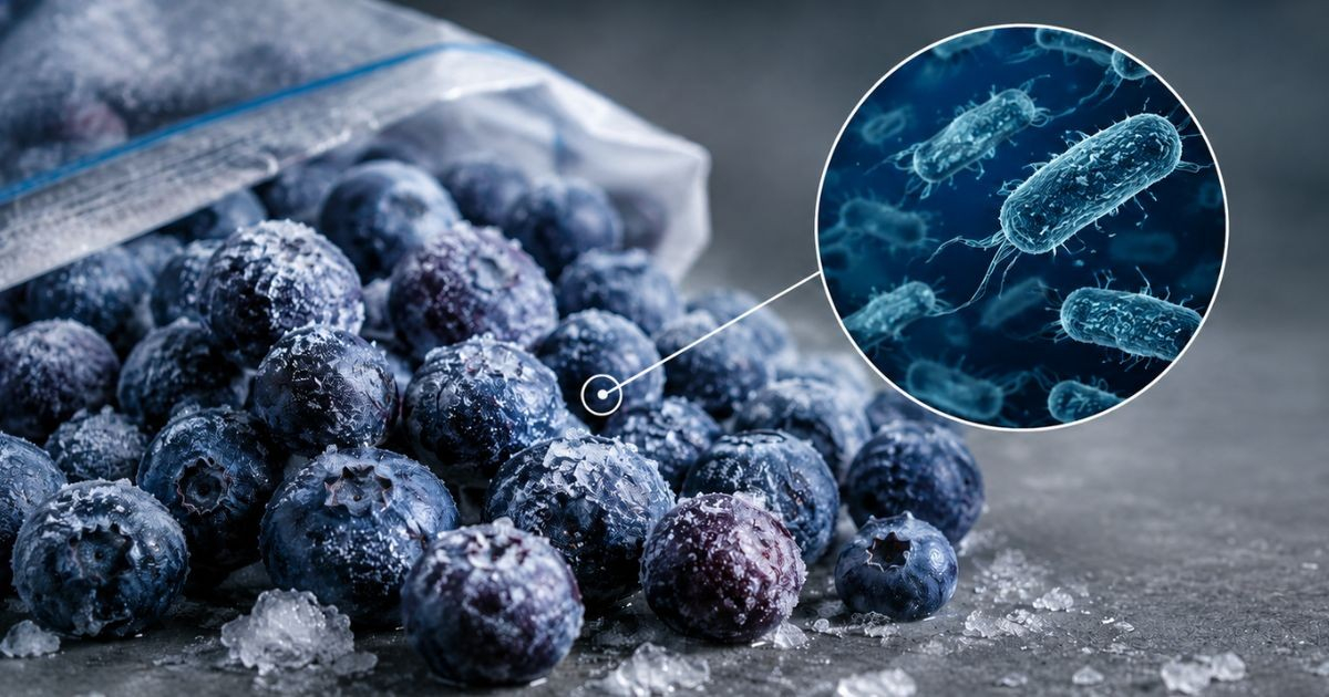 Recall Issued for Contaminated Frozen Blueberries Due to E. coli in Florida and Other States