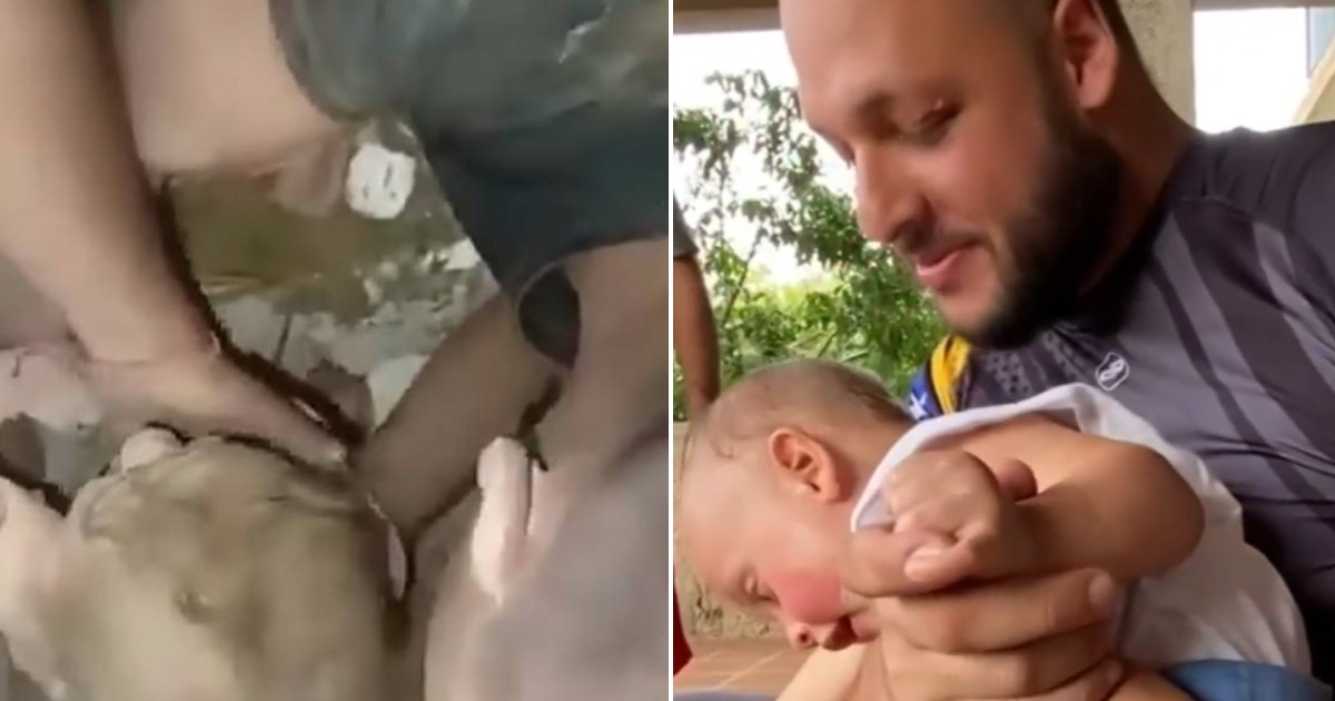 Father Awaits Recovery of Wife's Body After Baby Survives Venezuelan Earthquakes