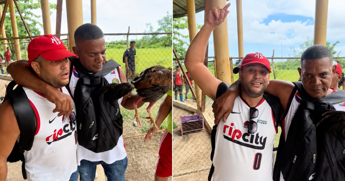 Cuban Man's Viral Reaction After Cockfight Win: "Such a Remarkable Feeling"