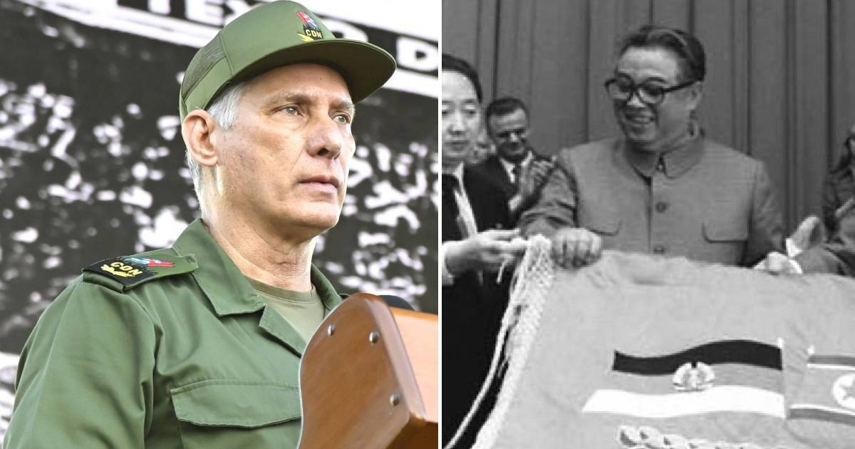 Cuban Leader Faces Backlash for Honoring North Korean Founder