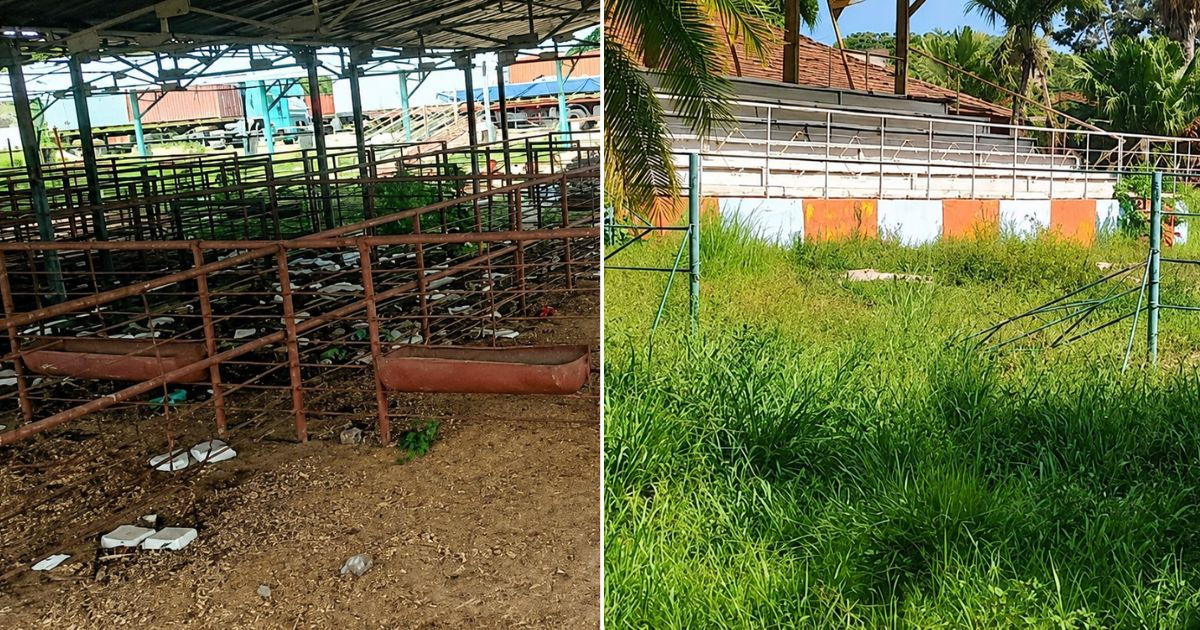 De orgullo nacional a ruina: así luce la Feria Ganadera de Rancho Boyeros © Collage Facebook/El Mas Puro Rodeo Cubano 