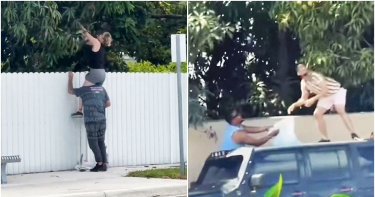 Fines and Legal Consequences for Picking Fruit Without Permission in Miami-Dade