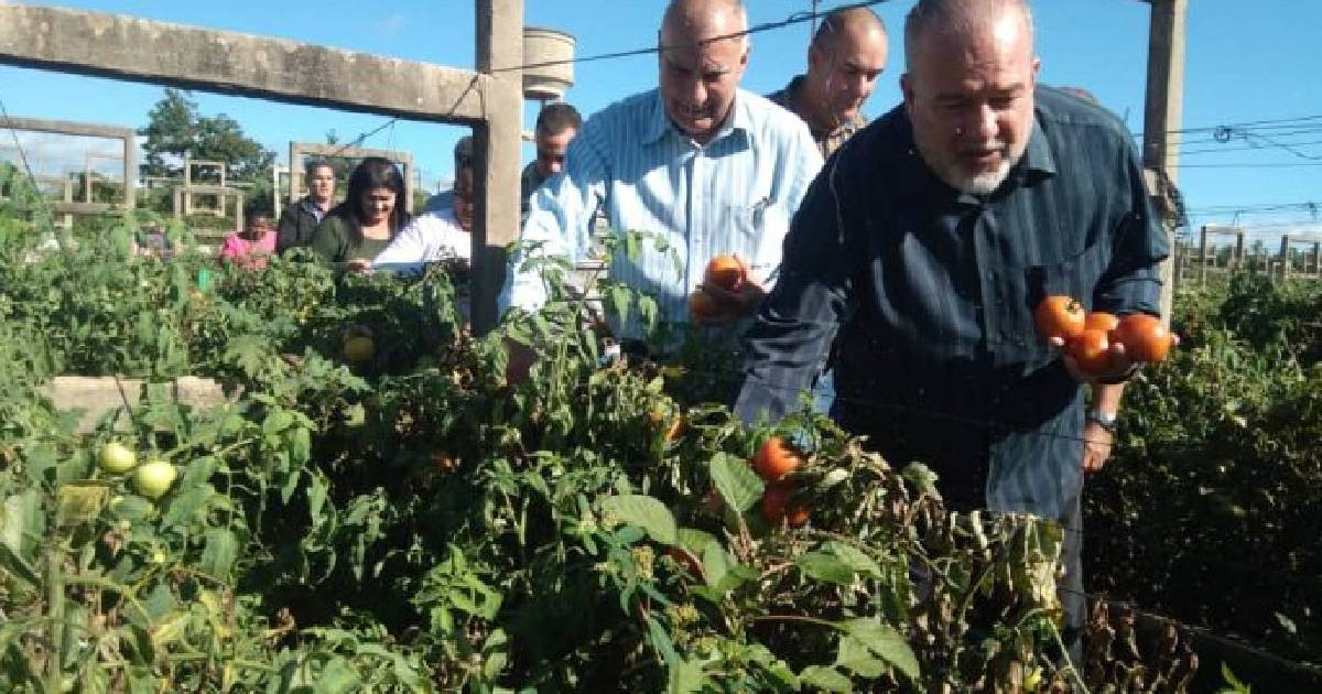 Cuban Leadership Urges Cultivation in Arroyo Naranjo to Combat Food Shortage