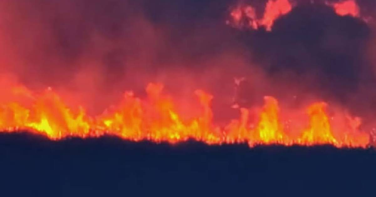 Incendio forestal en Everglades, Broward © Captura de video/Univisión