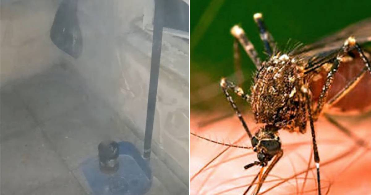Cuban Woman Struggles to Sleep for a Week, Resorts to Primitive Mosquito Repellent