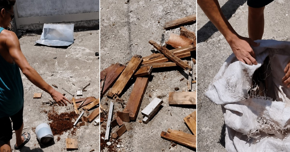 Cuban Man Collects Wood to Cook Amid Energy Crisis
