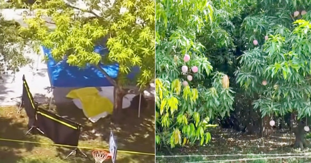 Tragic Fall Claims Woman's Life in South Florida: A Closer Look at the Incident