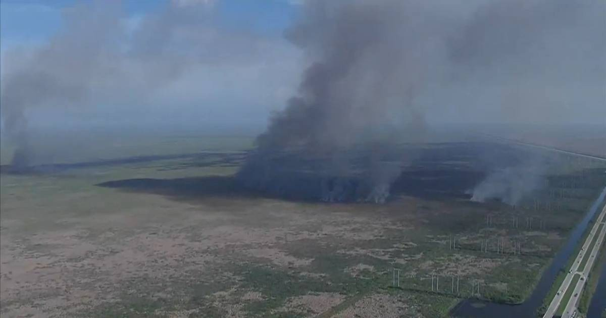 Florida Faces Fiery Crisis: Nearly 50 Wildfires Scorch Over 25,000 Acres Amid Severe Drought