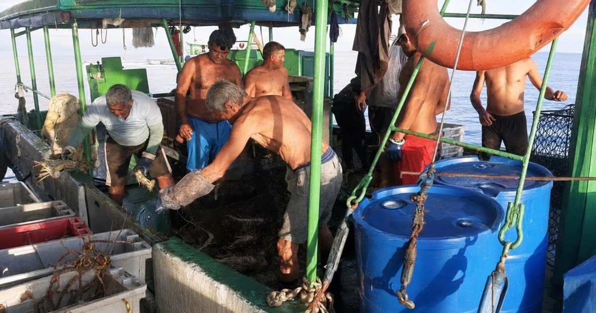 Cuban Government Demands More Lobster Despite Fuel Shortages and Incomplete Fleet