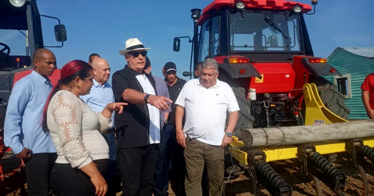 Miguel Díaz-Canel Tours Tobacco Farms in Pinar del Río Wearing a Panama Hat and Embroidered Guayabera