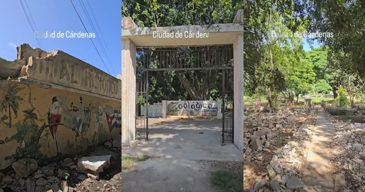 Young Man Highlights the Decay of Cárdenas Zoo: "A Place of Memories and Dreams Now Extinguished"