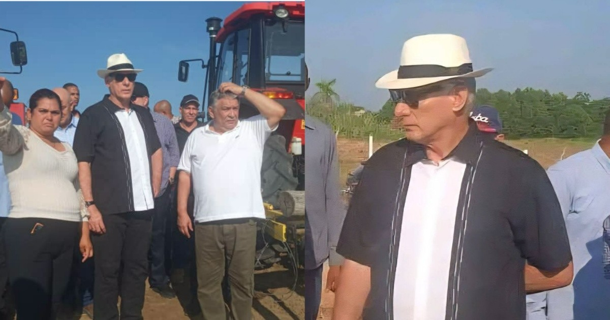 Miguel Díaz-Canel's New Look Draws Mockery: "Resembling a Mafia Don"