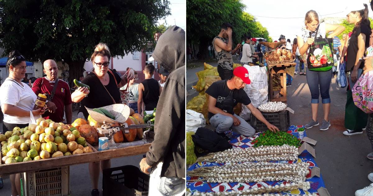 Celebrating for a Day: Cuban Government Offers Abundance in Cienfuegos for July 26th Amid Year-Round Hardships