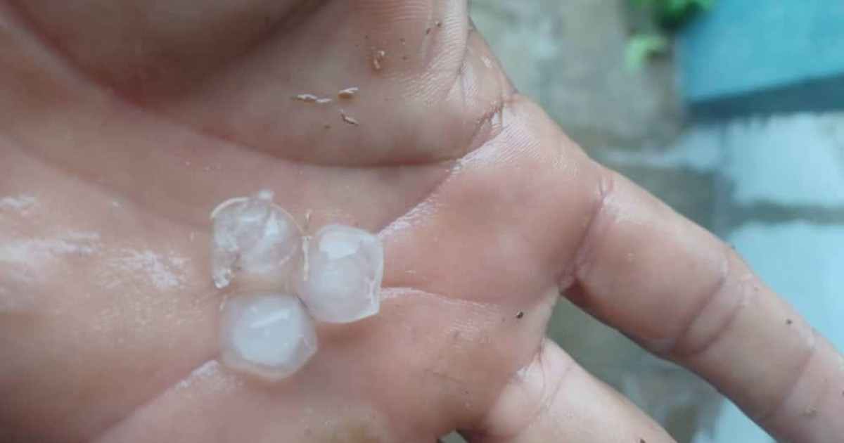 Severe Hailstorm Strikes Perico García in Pinar del Río, Damaging Banana Crops