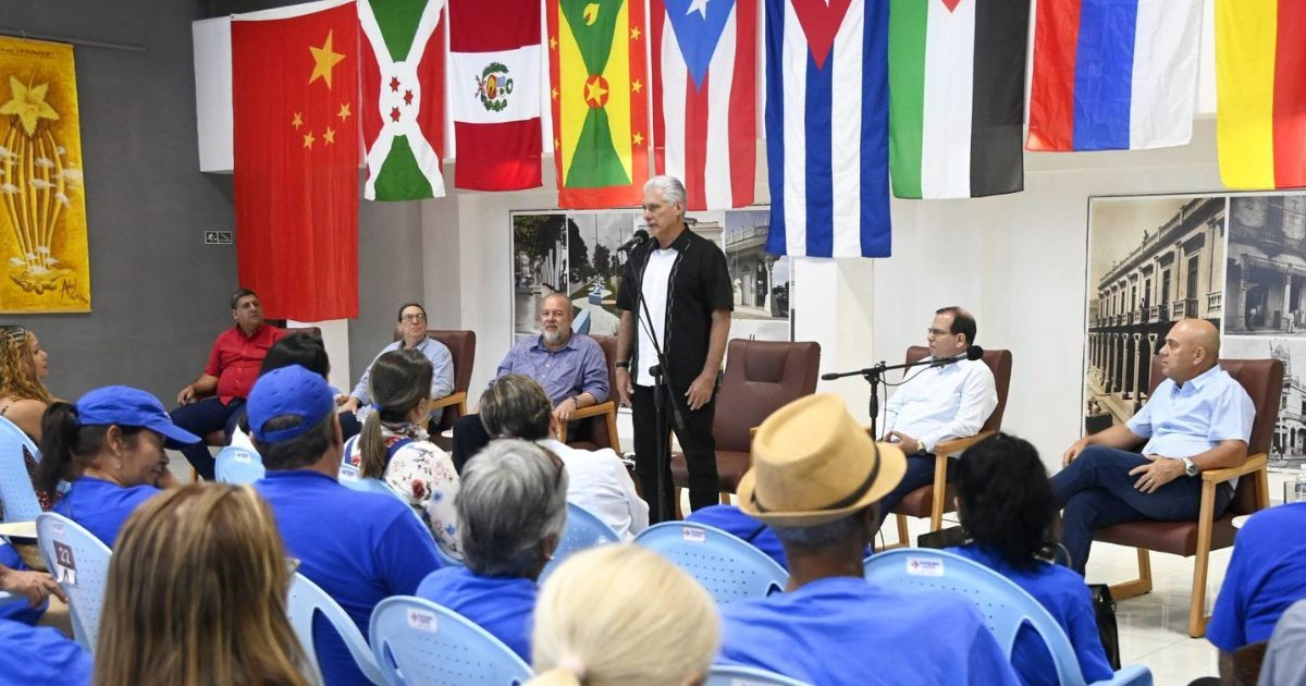 Miguel Díaz-Canel con grupos de solidaridad © FB/Presidencia Cuba