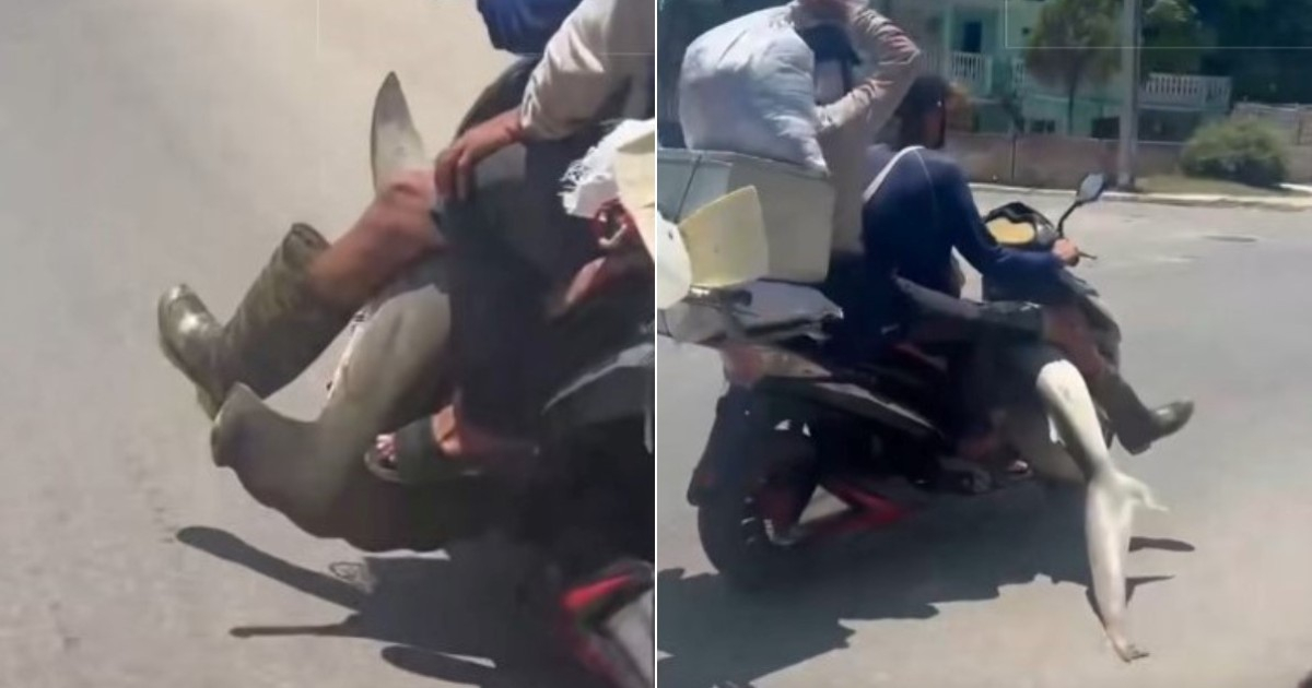 Cubano Transports Hammerhead Shark on Motorcycle Through Varadero Streets