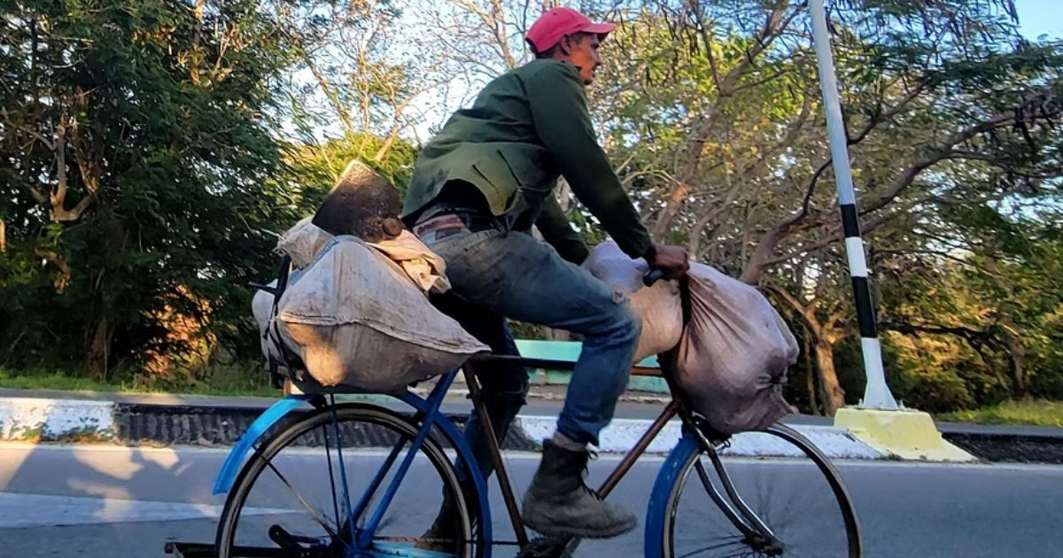 Cuba's Food System Faces Collapse: A Broken Chain