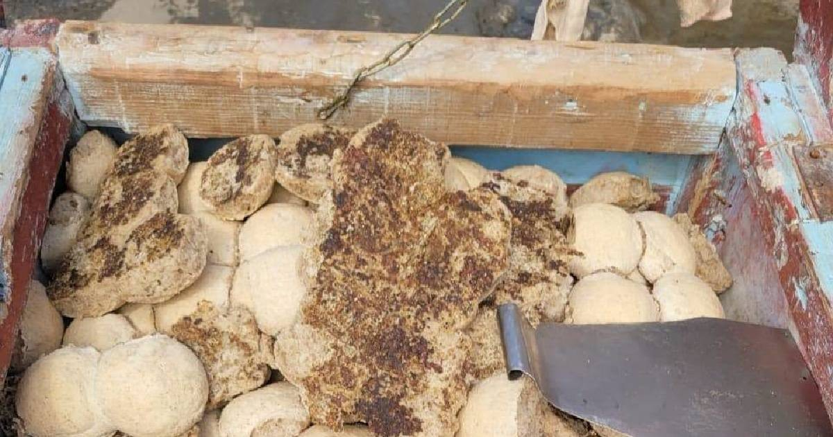 Bread Quality in Santiago de Cuba Sparks Outrage Among Residents
